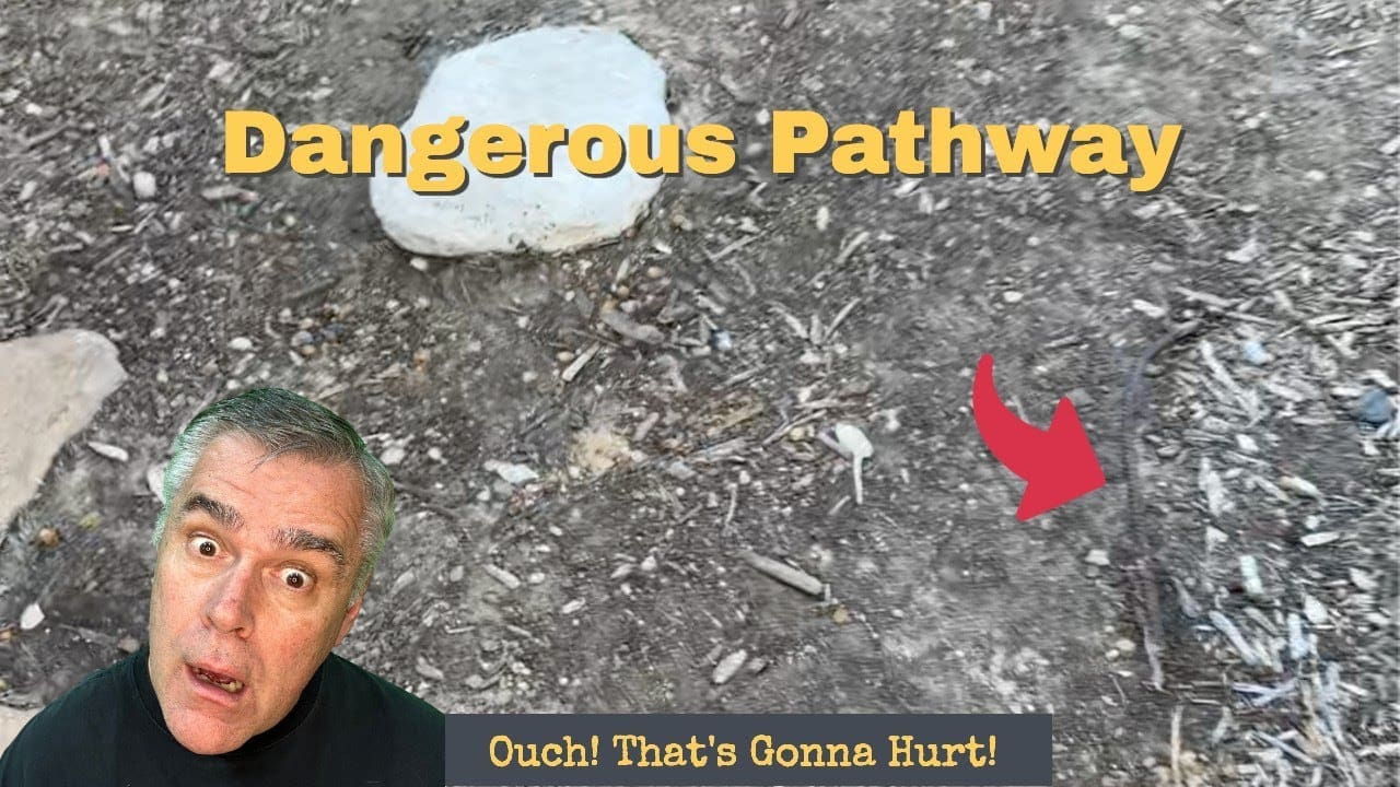 Dangerous Pathway Ahead!